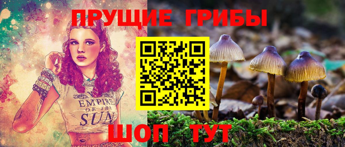 Ачинск  Псилоцибиновые грибы GOLDEN TEACHER  Вход с VPN  Псилоцибиновые грибы Cubensis 